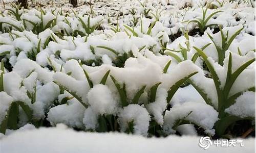 碌曲天气_碌曲天气预报7天查询