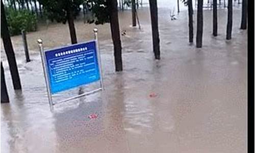 潍坊 暴雨_潍坊特大暴雨