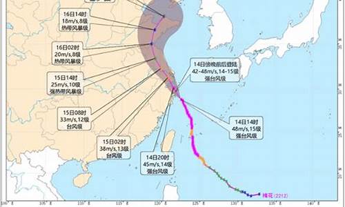 浙江省台风路径实时发布_浙江省台风路径实时发布图表